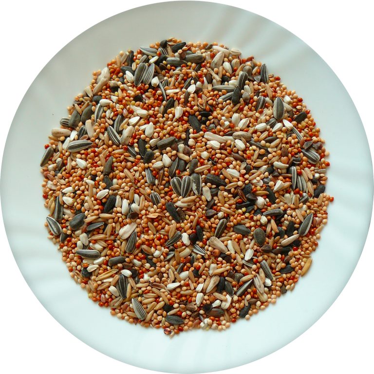 Avicentra - Malý a Stredný Papagáj classic 3kg