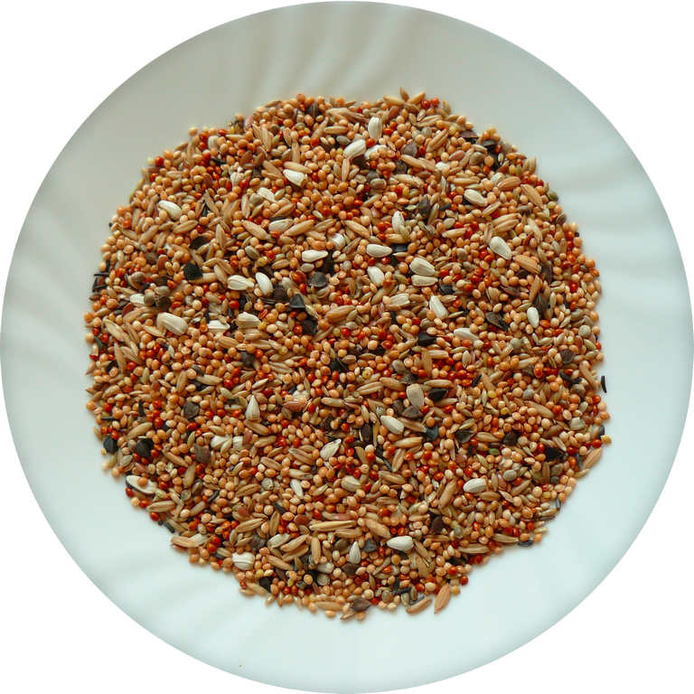 Avicentra - Agapornis profesional 5kg