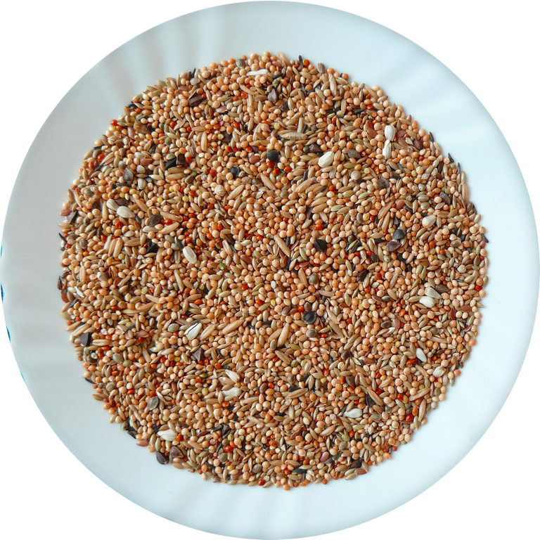 Avicentra - Neoféma profesional 5kg