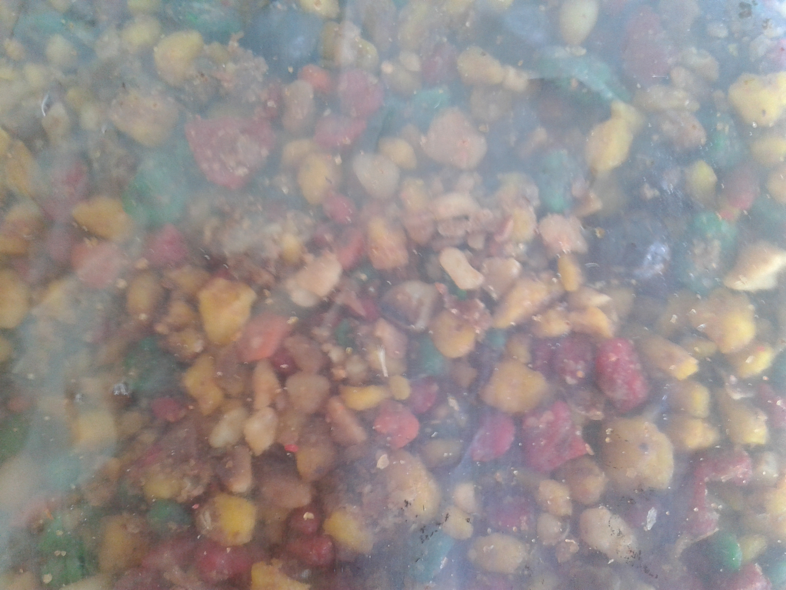 Allpet - Ovocná zmes - All mix 1kg